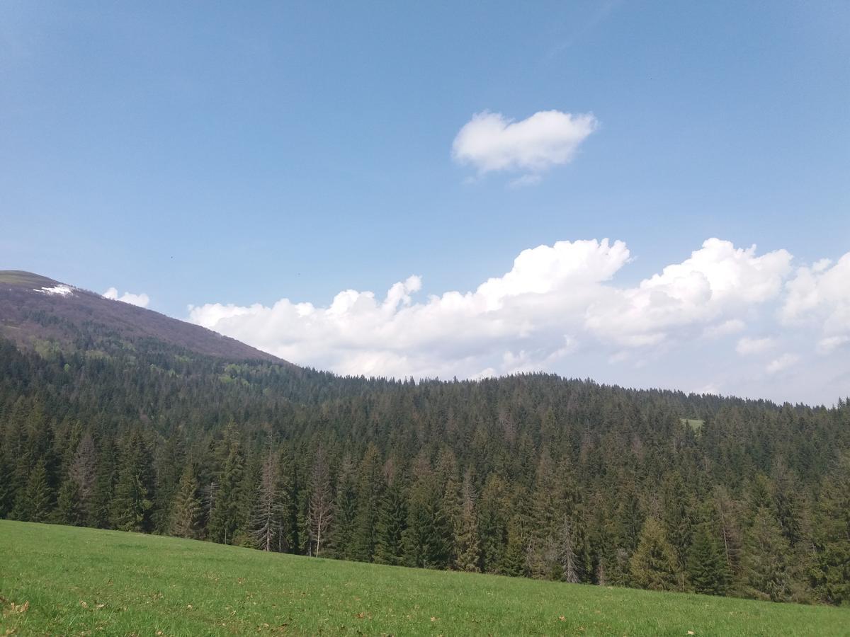 Верховинський Котедж Bukovets 外观 照片